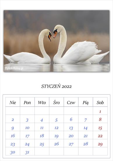 Kalendarz łąbędzie - APC_Calendar - 2021.11.26 19.23 - 001 - 2022 01.png